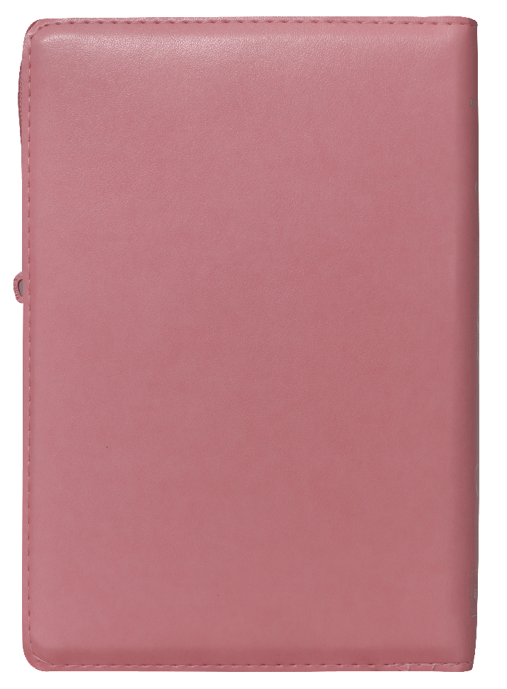 Biblia Reina Valera 1960 Letra Grande Cierre Indice Concordancia Canto Plateado Tapa Pu Rosa