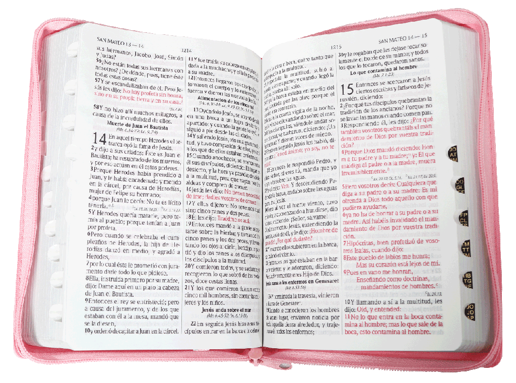 Biblia Reina Valera 1960 Letra Grande Cierre Indice Concordancia Canto Plateado Tapa Pu Rosa