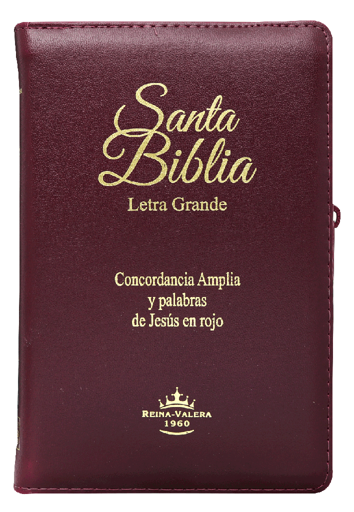 Biblia Reina Valera 1960 Letra Grande Concordancia Cierre Indice Bordo Tapa Fina