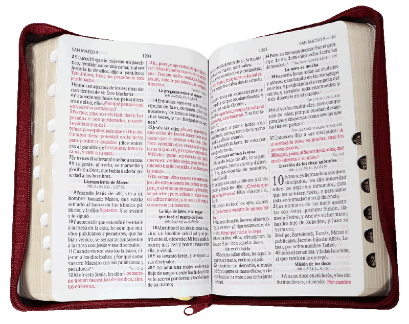 Biblia Reina Valera 1960 Letra Grande Concordancia Cierre Indice Bordo Tapa Fina