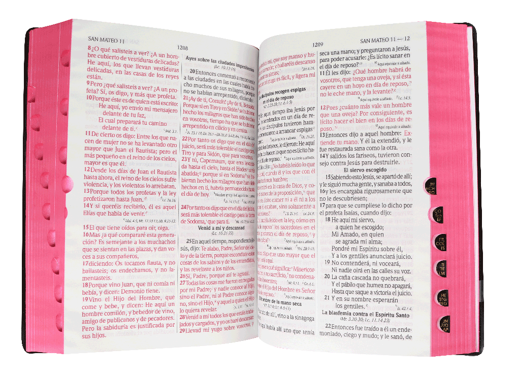 Biblia Reina Valera 1960 Letra Grande Negro Flexible