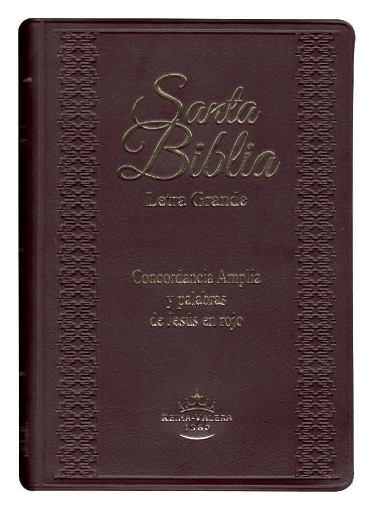 Biblia Reina Valera 1960 Letra Grande Bordo Flexible