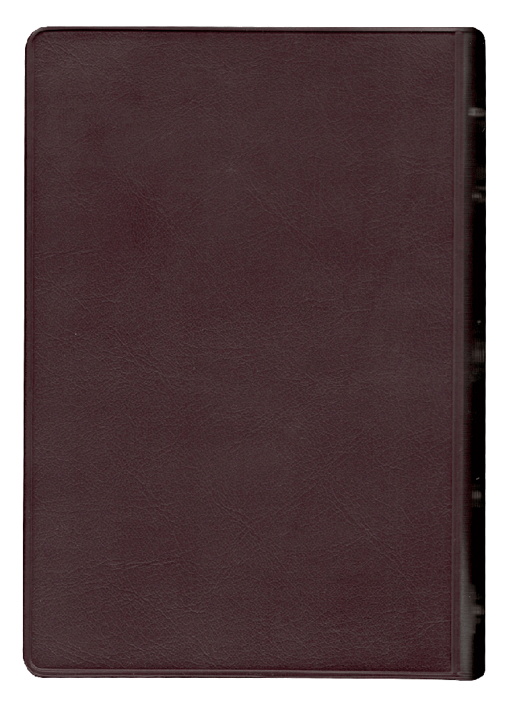 Biblia Reina Valera 1960 Letra Grande Bordo Flexible