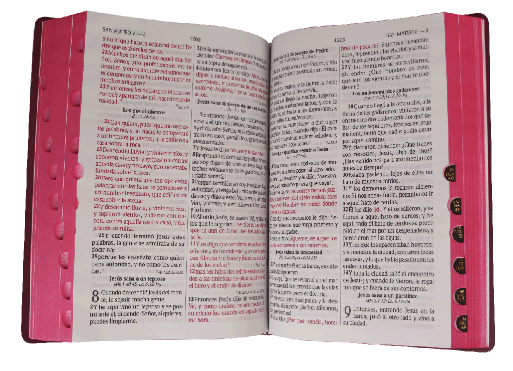 Biblia Reina Valera 1960 Letra Grande Bordo Flexible