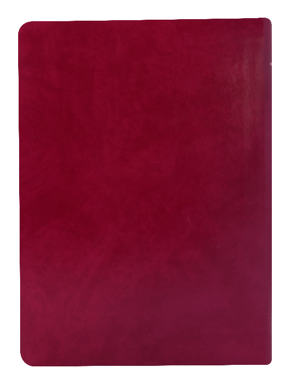 Biblia De Estudio Para La Predicación Purpura Reina Valera 1960