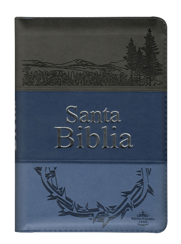 Biblia Reina Valera 1960 Letra Grande Cierre Imitación Piel Tapa Pu Tritono Azul
