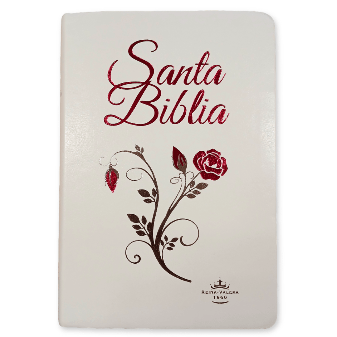 Biblia Letra Grande índice Blanca Flores Reina Valera 1960