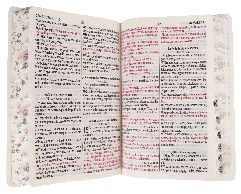 Biblia Letra Grande índice Blanca Flores Reina Valera 1960