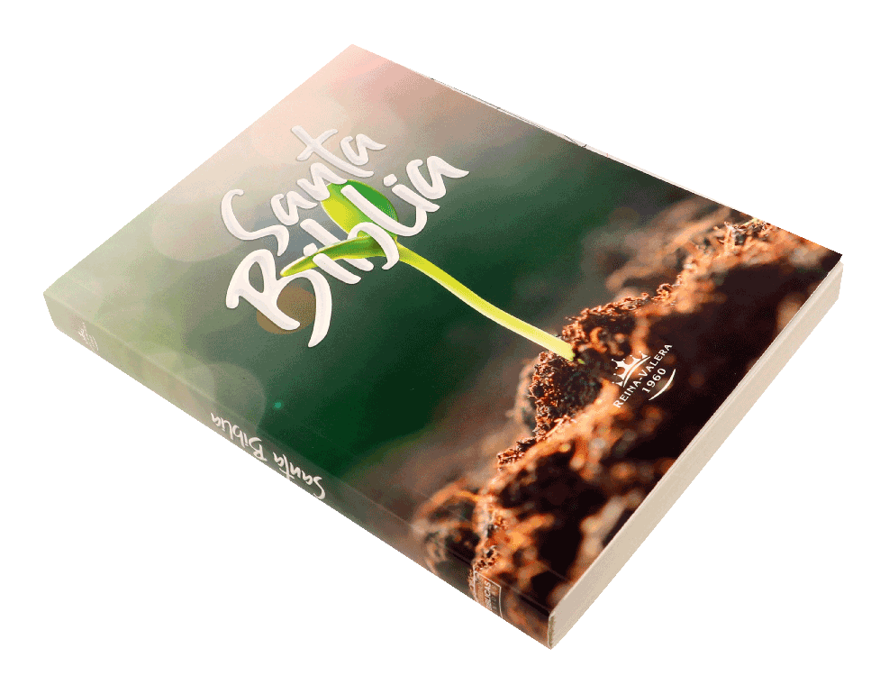 Biblia Reina Valera 1960 Misionera Brote Tapa Cartulina