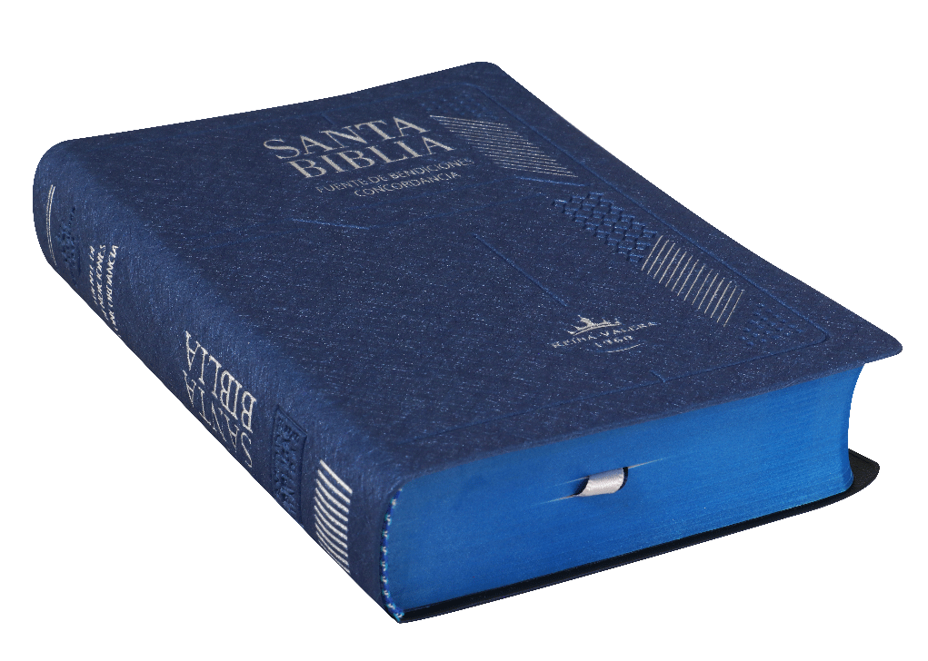 Biblia Reina Valera 1960 Mediana Promesas Concordancia Índice Vinil Azul 17x12cm