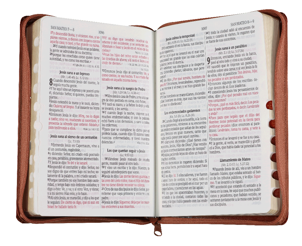 Biblia Reina Valera 1960 Letra Grande Cierre Concordancia PJR Indice Tapa Pu Negro marrón