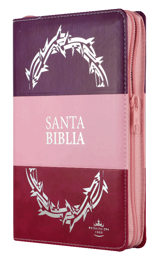 Biblia Reina Valera 1960 Letra Grande Pjr Cierre Tritono Rosa