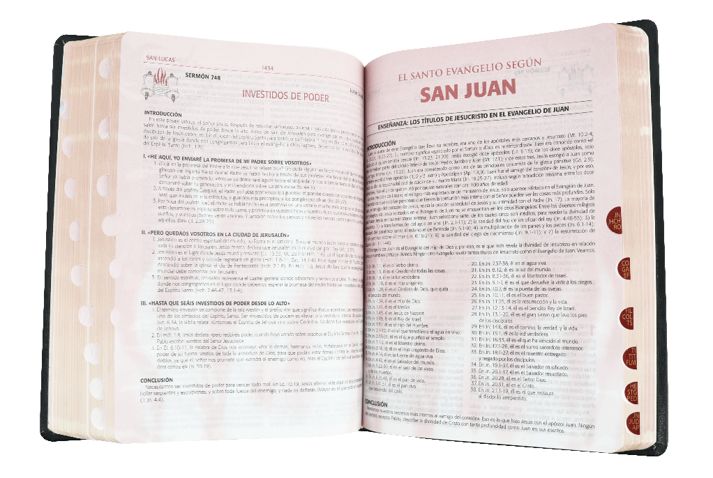 Biblia De Estudio Para La Predicación De Avivamiento Piel