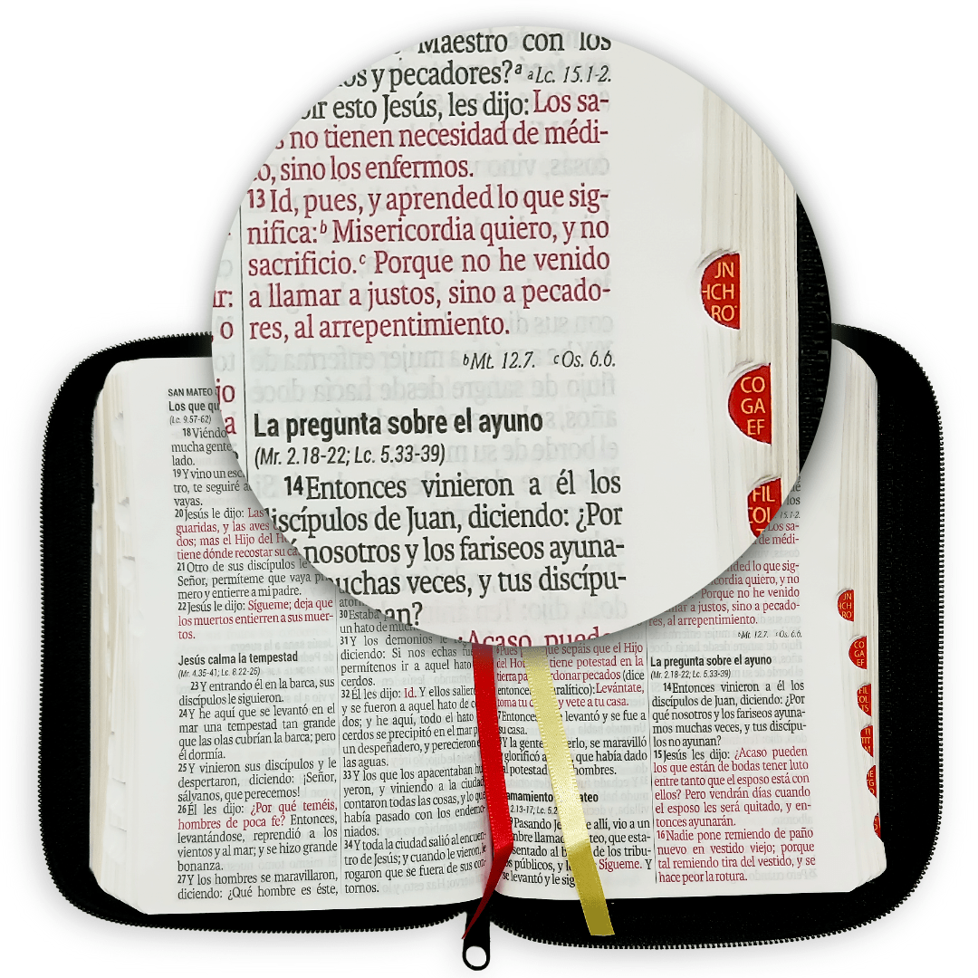Biblia Reina Valera 1960 Letra Mayor 11 puntos Cierre Indice Tapa Pu Negro
