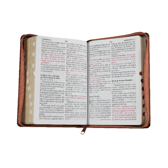 Biblia Reina Valera 1960 Letra mayor 11 puntos Cierre Indice Tapa Pu Marrón