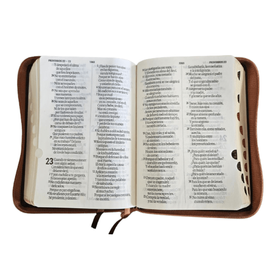 Biblia Reina Valera 1960 Letra grande 14 Puntos PJR Concordancia Cierre Indice Tapa Pu Negro Marrón