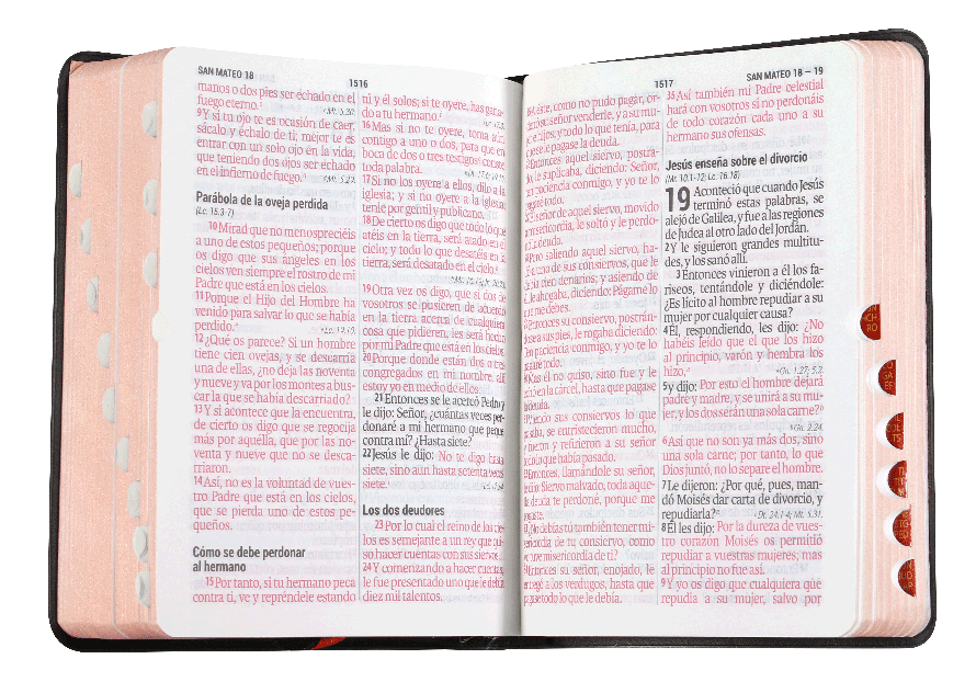 Biblia Reina Valera 1960 Concordancia Indice Letra Mayor