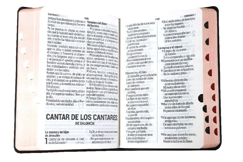Biblia Reina Valera 1960 Letra Gigante Negro 14 Puntos