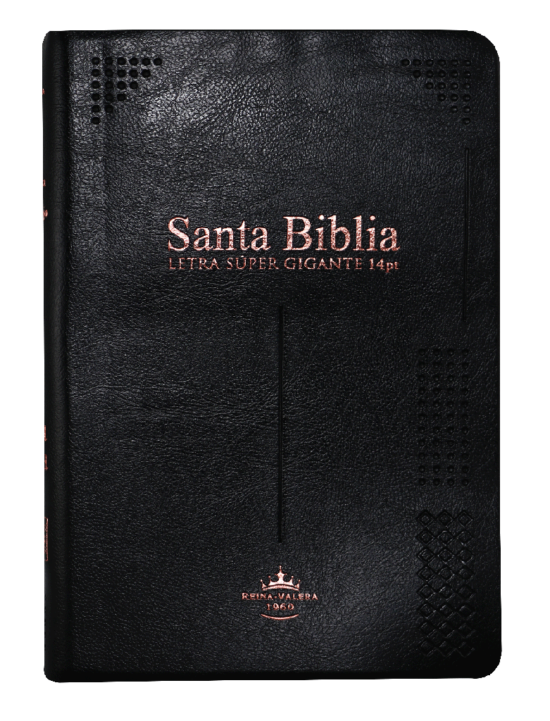 Biblia Reina Valera 1960 Letra Gigante Negro 14 Puntos