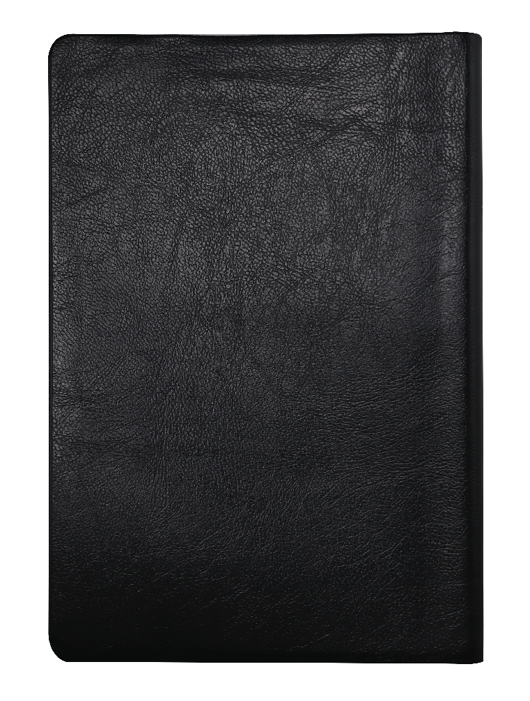 Biblia Reina Valera 1960 Letra Gigante Negro 14 Puntos