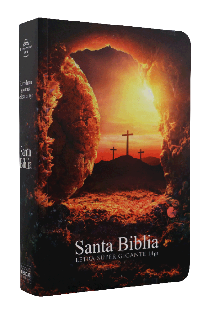 Biblia Reina Valera 1960 Letra Grande Piedra Removida 14 puntos de Letra Tapa Rústica