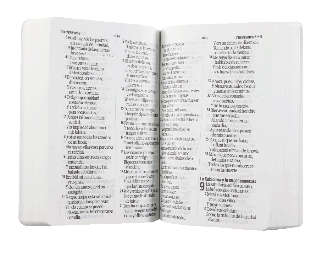 Biblia Reina Valera 1960 Letra Gigante Piedra Removida 14 puntos de Letra Tapa Rústica