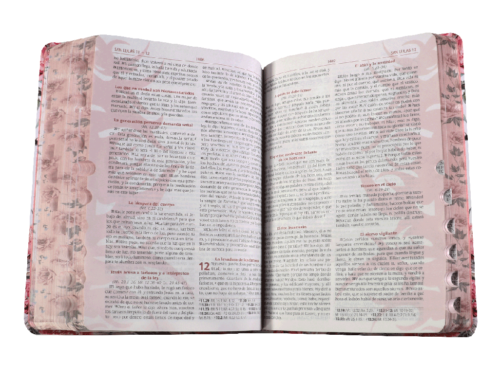 Biblia Reina Valera 1960 Letra Grande para la Predicación de Avivamiento Floreada