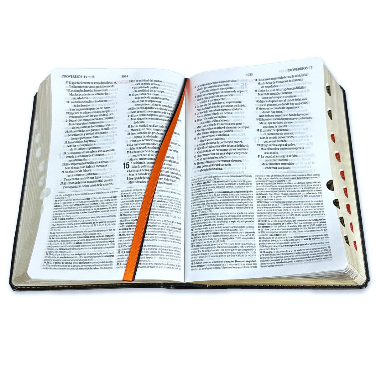 Biblia de Estudio teológico Reina Valera 1960 Indice Concordancia Negro Tamaño Personal 14 x 21 cm