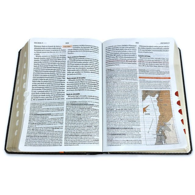 Biblia de Estudio teológico Reina Valera 1960 Indice Concordancia Negro Tamaño Personal 14 x 21 cm