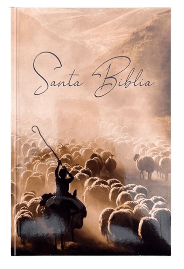 Biblia Reina Valera 1960 Económica Fuente de Bendición