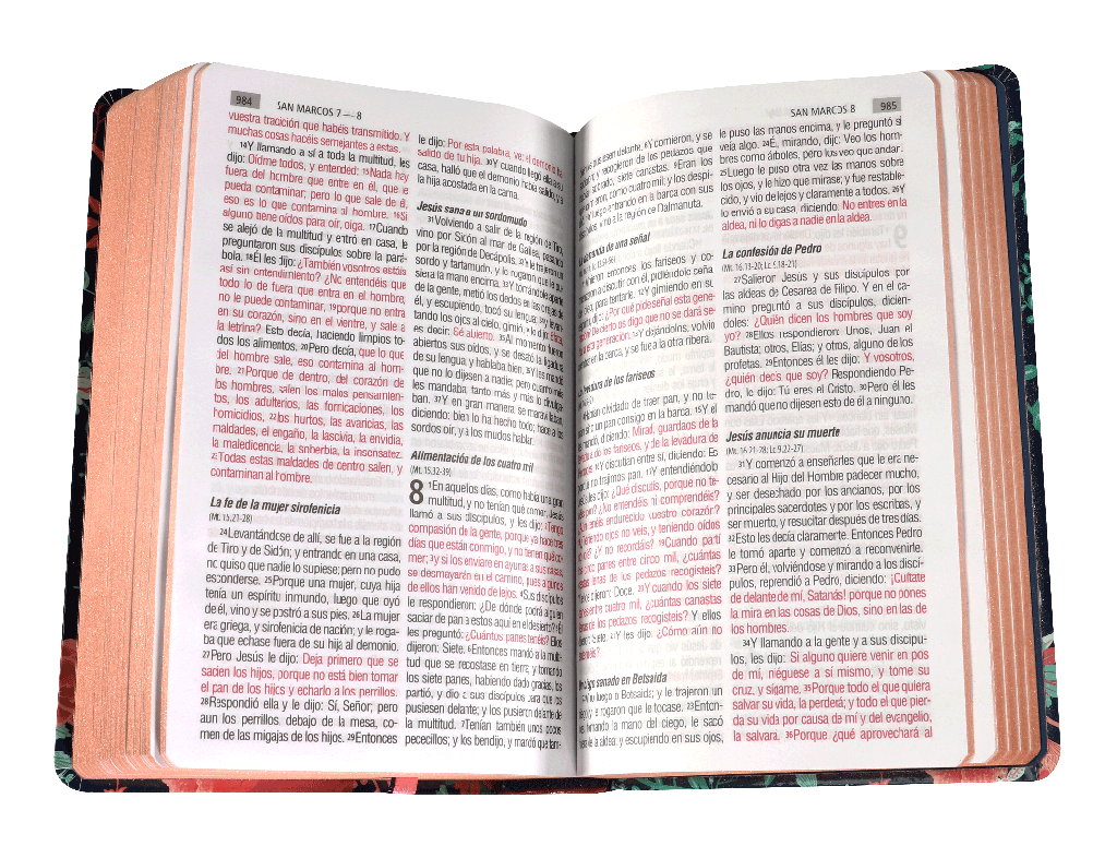 Biblia Reina Valera 1960 Concordancia Letra Grande Tapa Dura Azul Flores