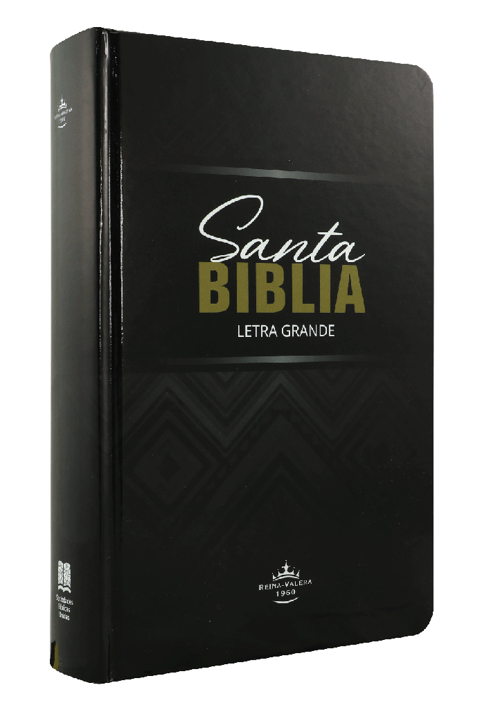 Biblia Reina Valera 1960 Letra Grande Concordancia Tapa Dura Negra