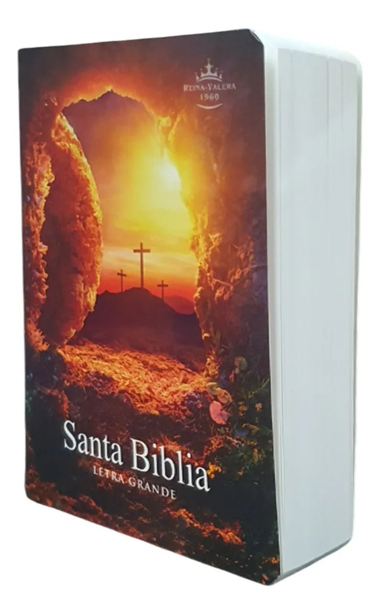 Biblia Reina Valera 1960 letra 9 puntos PJR tapa rústica colores Piedra