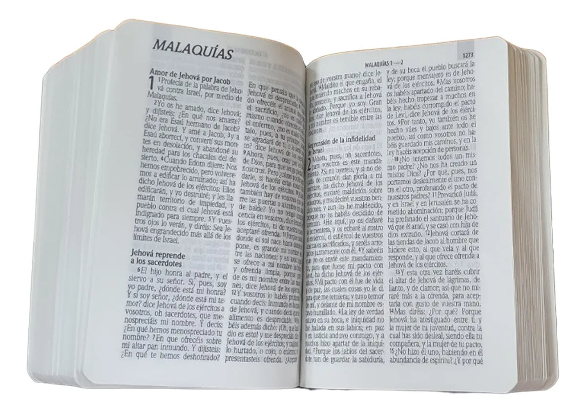 Biblia Reina Valera 1960 letra 9 puntos PJR tapa rústica colores Piedra