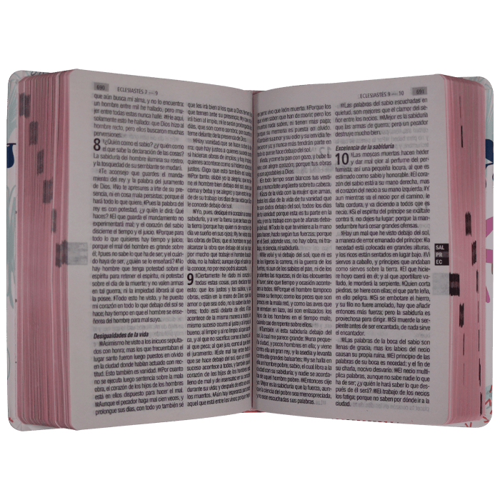 Biblia Reina Valera 1960 Letra Grande Tapa Semiflexible Flor