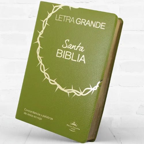 Biblia Reina Valera 1960 letra 12 puntos 20.5 x 14 PJR Covertex Verde