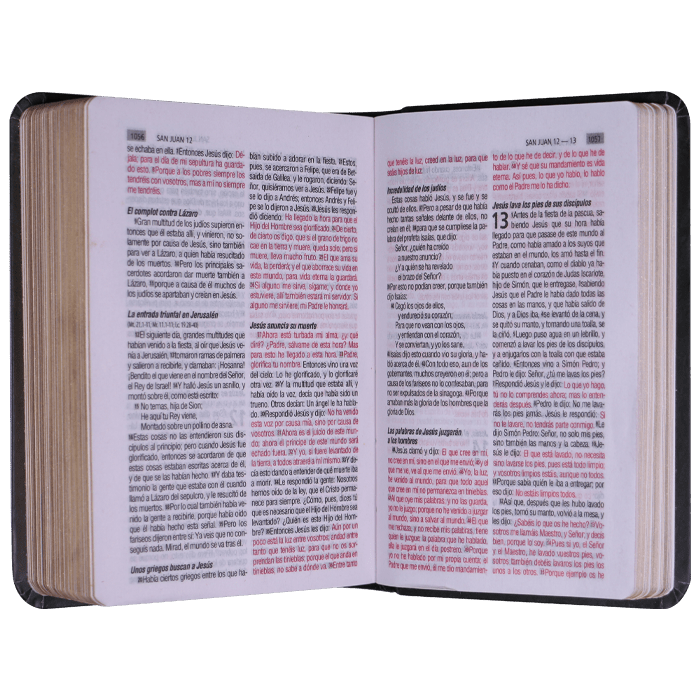 Biblia Reina Valera 1960 Pjr Bolsillo Flexible