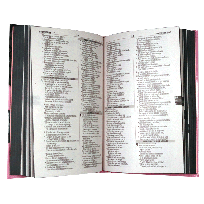 Biblia Reina Valera 1960 Misionera Tapa Dura Rosa palabras de Jesús en rojo