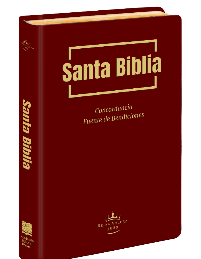 Biblia Reina Valera 1960 Letra Estándar PJR Concordancia Fuente de Bendición Tapa Flex Vino