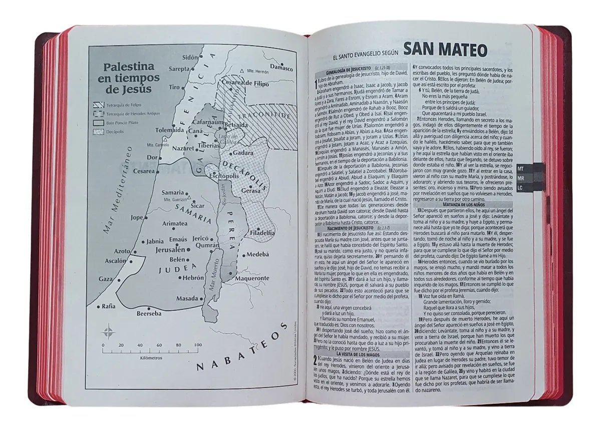 Biblia Reina Valera 1960 · Ultra Fina · Concordancia · Fuente de Bendición · Tapa flexible color vino