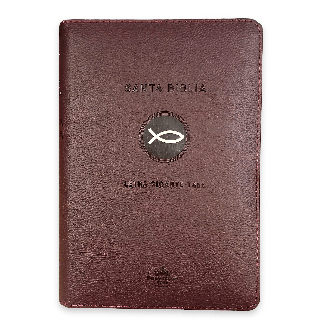 Biblia RVR 1960 vino, Letra 14 pts, concordancia, PJR, Índice, 22x15 cm