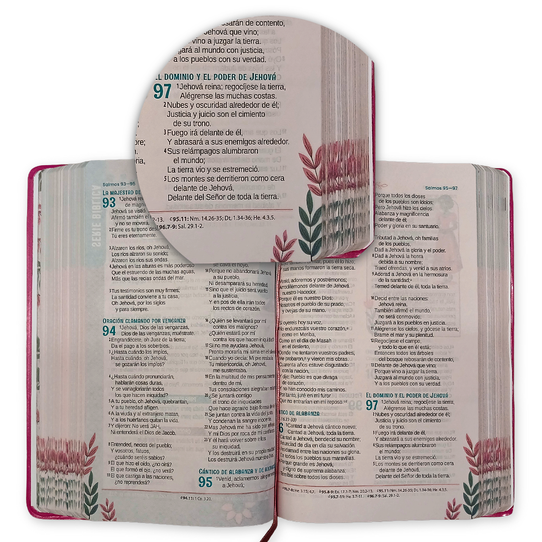 Biblia Mary Jones y sus amigas RVR1960 TD Rosa, Letra 10 puntos, 22x14 cm