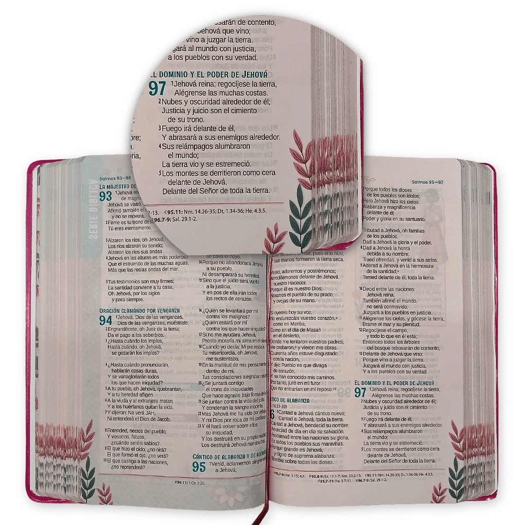 Biblia Mary Jones y sus amigas RVR1960 TD Rosa, Letra 10 puntos, 22x14 cm