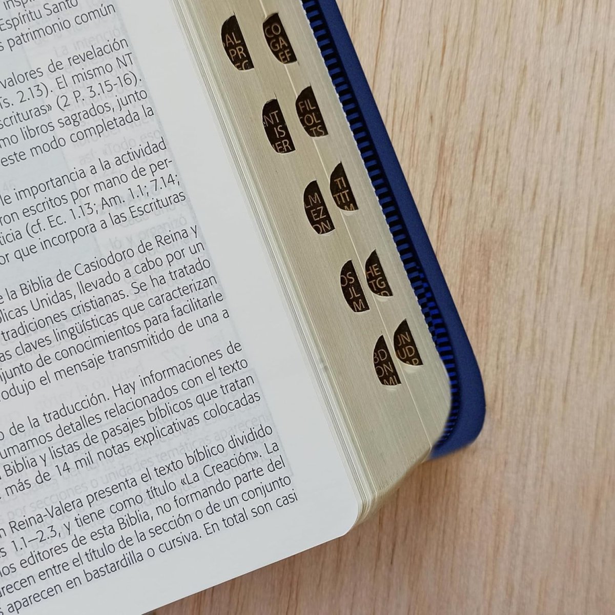 Biblia De Estudio Esquematizada Letra Grande Tapa Blanda