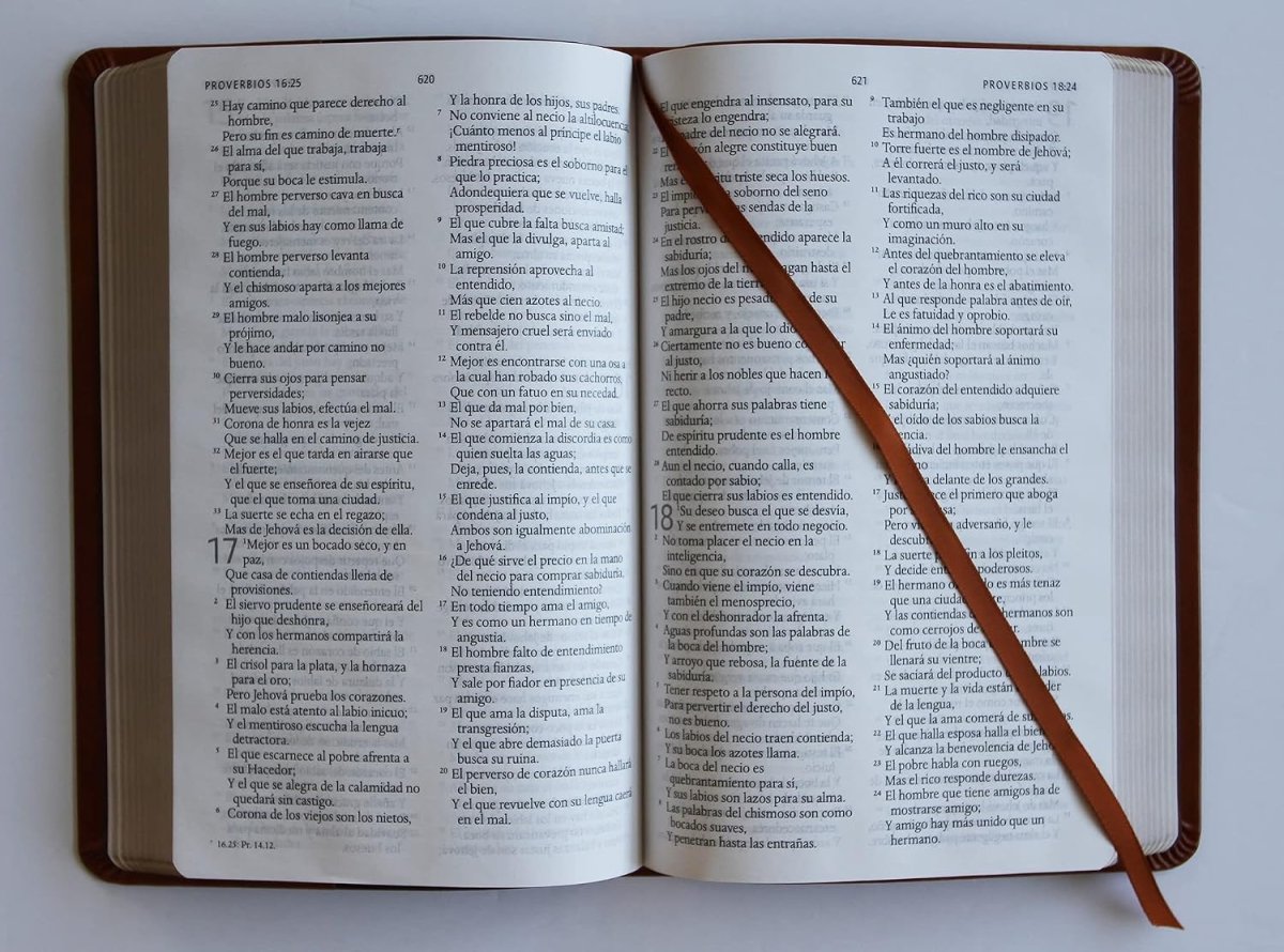 Biblia RVR 1960 Letra 10 Pts 14 X 21 Nombres De Dios Canela