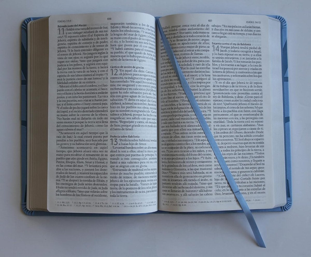 Biblia RVR 1960 Letra 10 Pts 14 x 21 Nombres De Dios Azul
