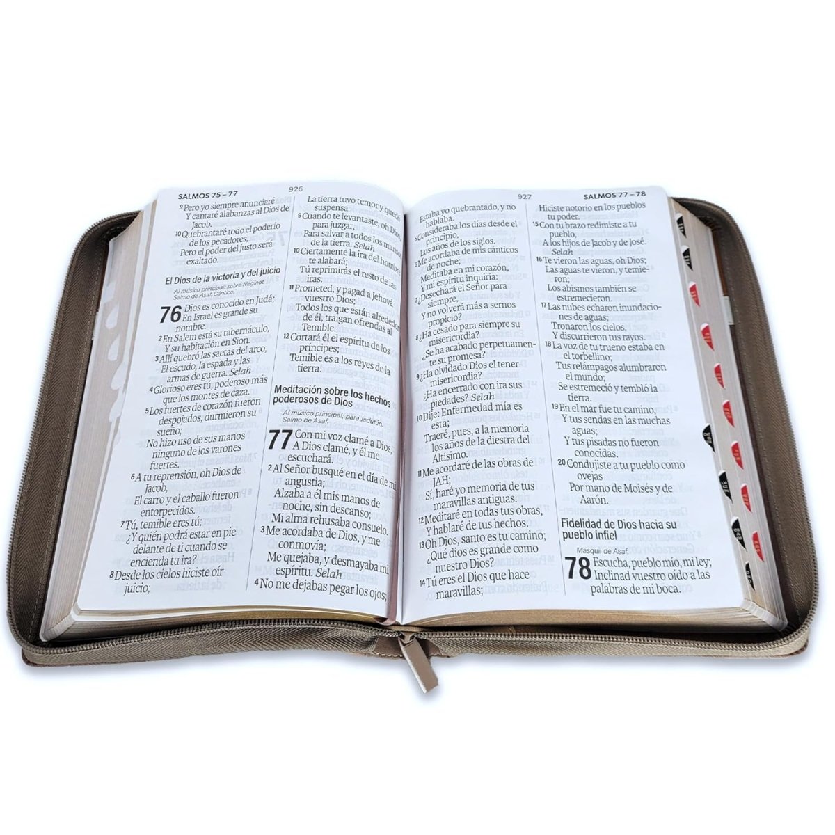 Biblia Reina Valera 1960 – 088 – Con Concordancia – Letra 19 pts – 16x23 cm – Cierre con Índice – Café