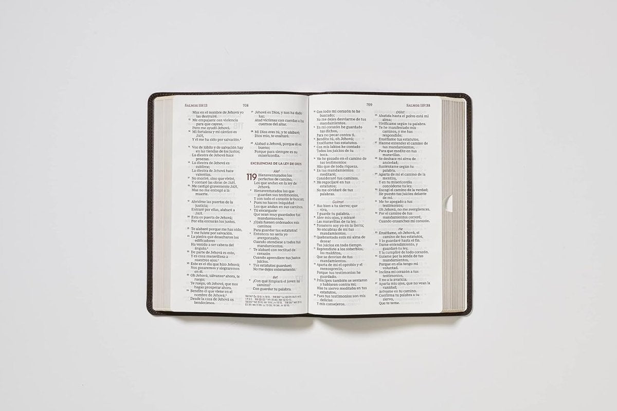 Biblia Del Ministro Reina Valera 1960, Letra Gigante, Leathersoft, Café, Palabras De Jesús En Rojo