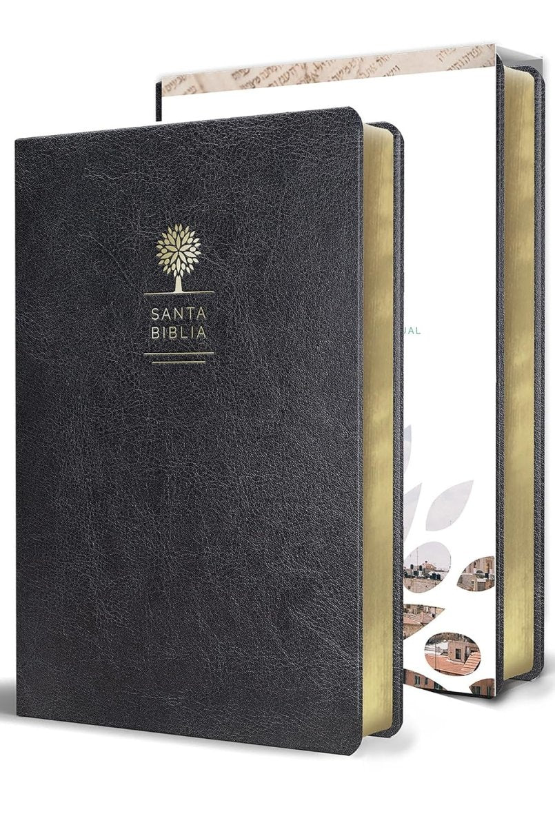 Biblia Reina Valera 1960 Imágenes Tierra Santa – Tapa Imitación Piel Negro, Letra 10pt, 14x21 cm