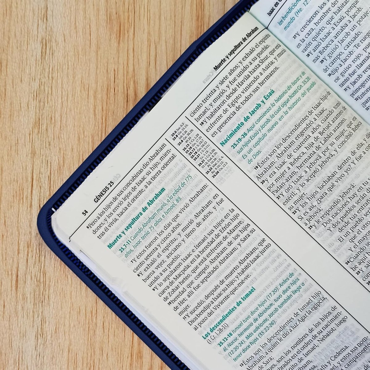 Biblia De Estudio Esquematizada Letra Grande Tapa Blanda